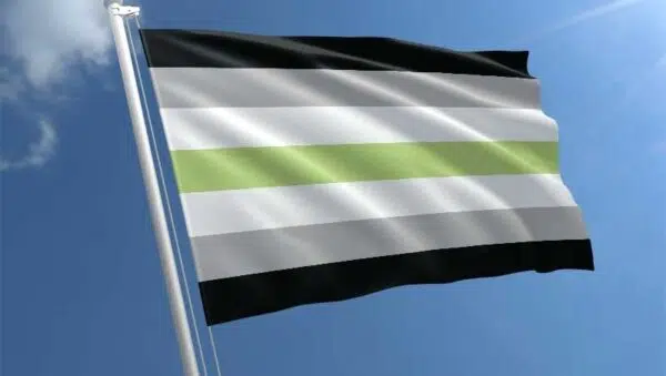 agender-flag-std