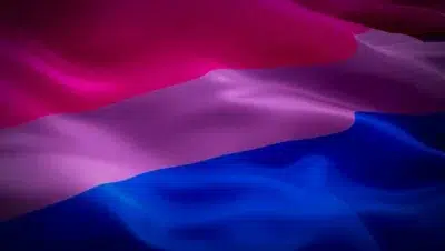 flag bi