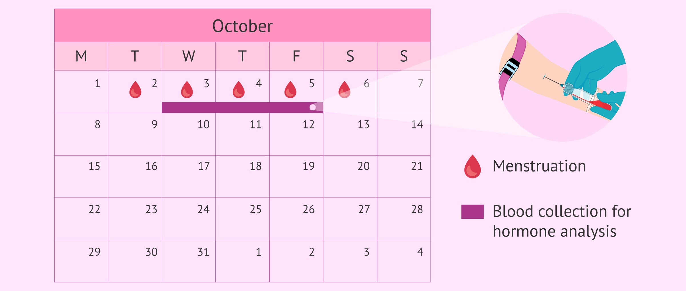 calendar Hormone Results